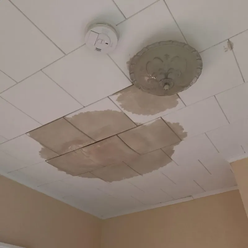Ceiling Water Damage Repair in Hazleton, PA