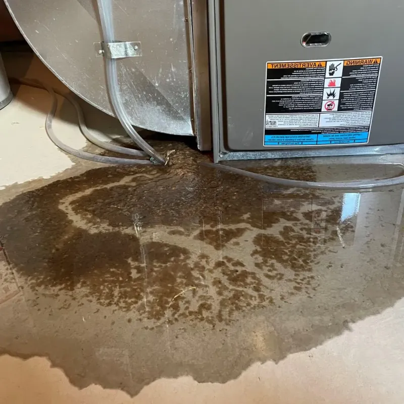 Pipe Burst and Leak Restoration in Hazleton, PA