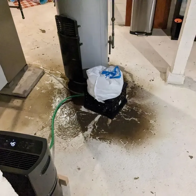 Sewage Backup Cleanup Service in Hazleton, PA